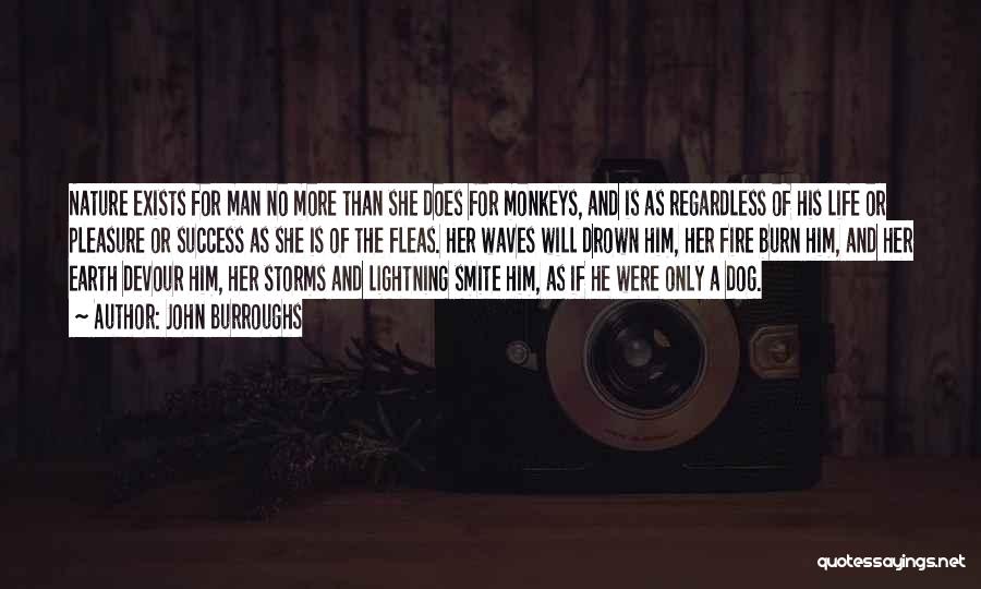 John Burroughs Quotes: Nature Exists For Man No More Than She Does For Monkeys, And Is As Regardless Of His Life Or Pleasure