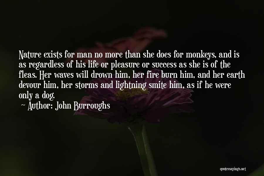 John Burroughs Quotes: Nature Exists For Man No More Than She Does For Monkeys, And Is As Regardless Of His Life Or Pleasure