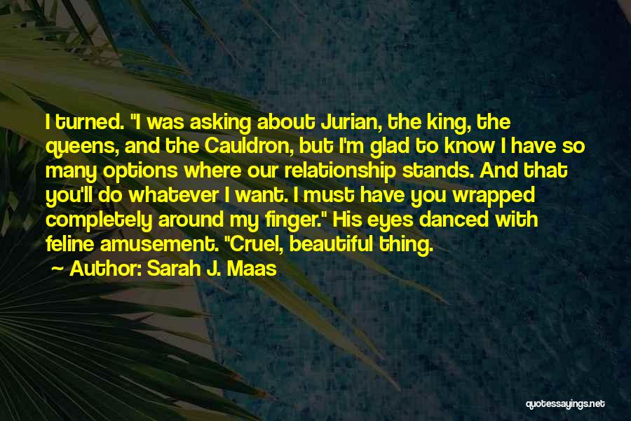 Sarah J. Maas Quotes: I Turned. I Was Asking About Jurian, The King, The Queens, And The Cauldron, But I'm Glad To Know I