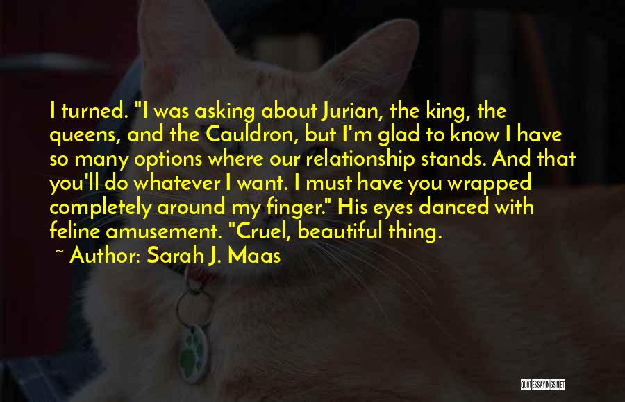 Sarah J. Maas Quotes: I Turned. I Was Asking About Jurian, The King, The Queens, And The Cauldron, But I'm Glad To Know I