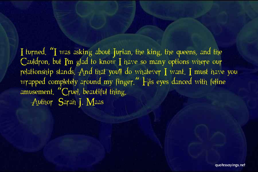 Sarah J. Maas Quotes: I Turned. I Was Asking About Jurian, The King, The Queens, And The Cauldron, But I'm Glad To Know I