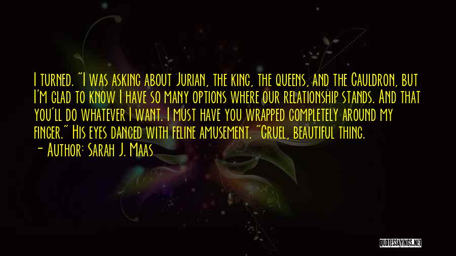 Sarah J. Maas Quotes: I Turned. I Was Asking About Jurian, The King, The Queens, And The Cauldron, But I'm Glad To Know I