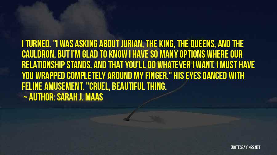 Sarah J. Maas Quotes: I Turned. I Was Asking About Jurian, The King, The Queens, And The Cauldron, But I'm Glad To Know I