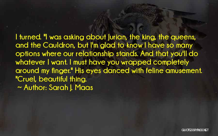 Sarah J. Maas Quotes: I Turned. I Was Asking About Jurian, The King, The Queens, And The Cauldron, But I'm Glad To Know I