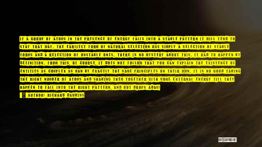 Richard Dawkins Quotes: If A Group Of Atoms In The Presence Of Energy Falls Into A Stable Pattern It Will Tend To Stay