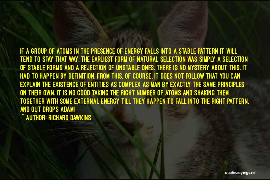 Richard Dawkins Quotes: If A Group Of Atoms In The Presence Of Energy Falls Into A Stable Pattern It Will Tend To Stay