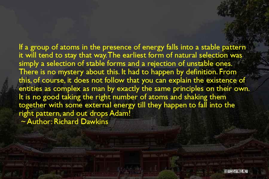 Richard Dawkins Quotes: If A Group Of Atoms In The Presence Of Energy Falls Into A Stable Pattern It Will Tend To Stay