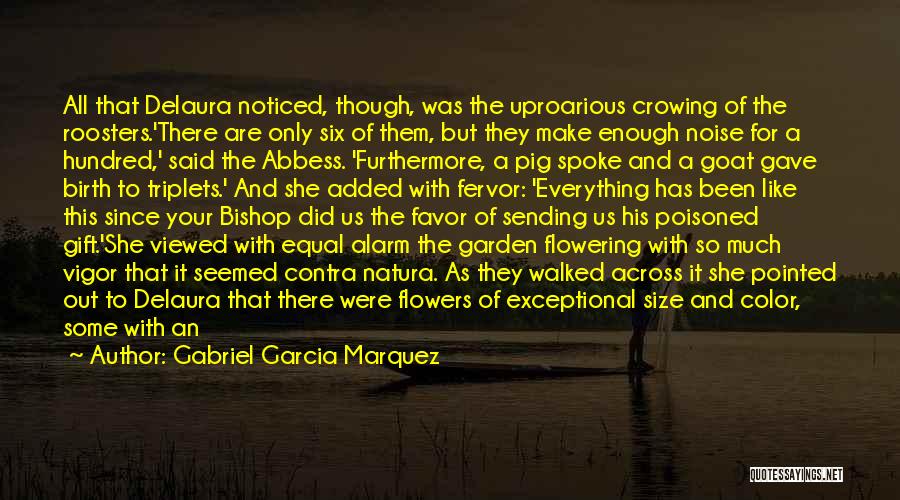 Gabriel Garcia Marquez Quotes: All That Delaura Noticed, Though, Was The Uproarious Crowing Of The Roosters.'there Are Only Six Of Them, But They Make