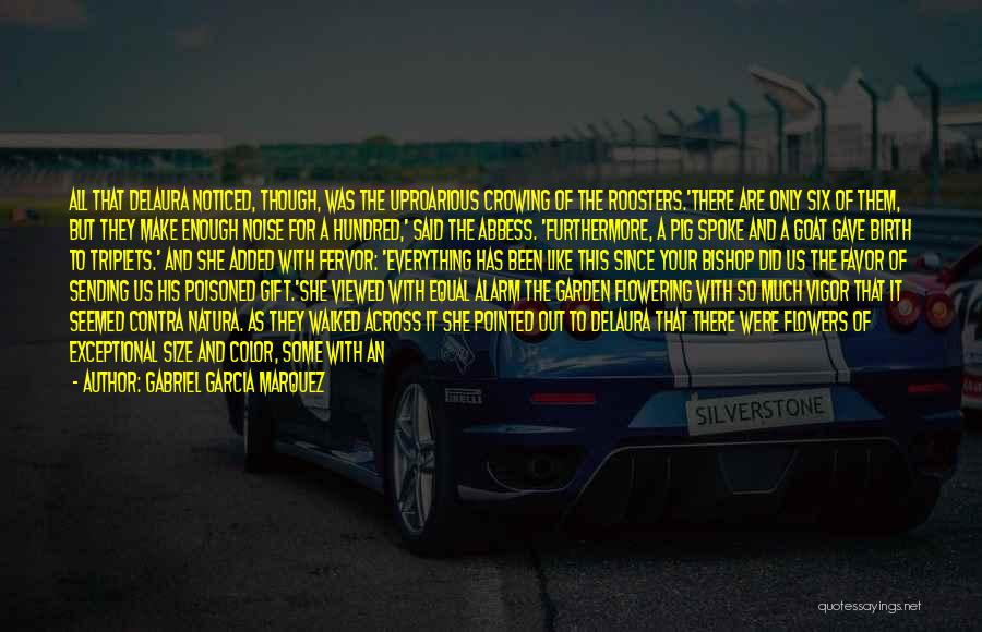 Gabriel Garcia Marquez Quotes: All That Delaura Noticed, Though, Was The Uproarious Crowing Of The Roosters.'there Are Only Six Of Them, But They Make