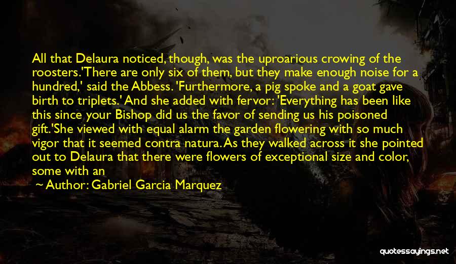 Gabriel Garcia Marquez Quotes: All That Delaura Noticed, Though, Was The Uproarious Crowing Of The Roosters.'there Are Only Six Of Them, But They Make