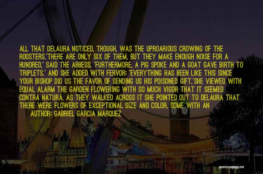 Gabriel Garcia Marquez Quotes: All That Delaura Noticed, Though, Was The Uproarious Crowing Of The Roosters.'there Are Only Six Of Them, But They Make