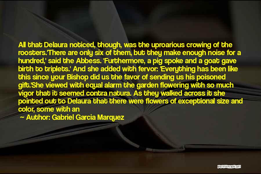 Gabriel Garcia Marquez Quotes: All That Delaura Noticed, Though, Was The Uproarious Crowing Of The Roosters.'there Are Only Six Of Them, But They Make