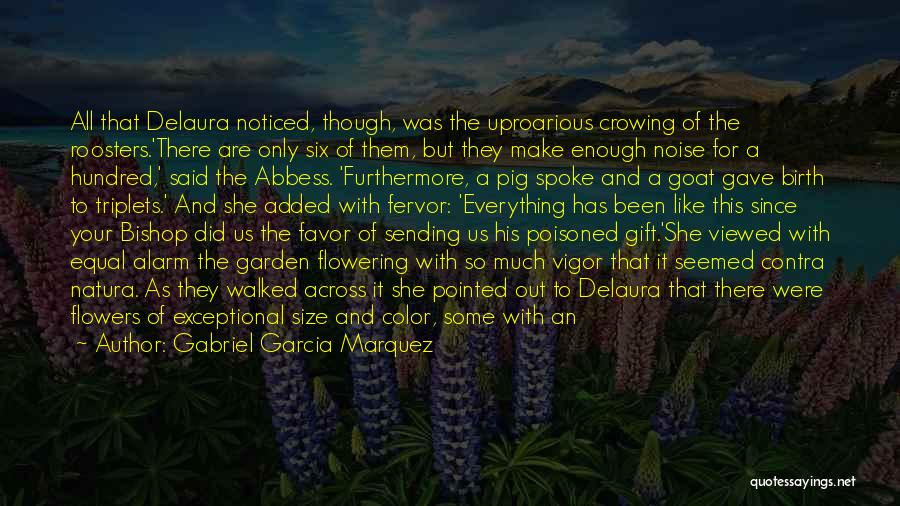 Gabriel Garcia Marquez Quotes: All That Delaura Noticed, Though, Was The Uproarious Crowing Of The Roosters.'there Are Only Six Of Them, But They Make