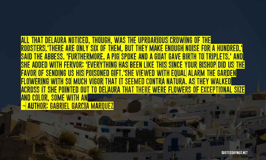 Gabriel Garcia Marquez Quotes: All That Delaura Noticed, Though, Was The Uproarious Crowing Of The Roosters.'there Are Only Six Of Them, But They Make