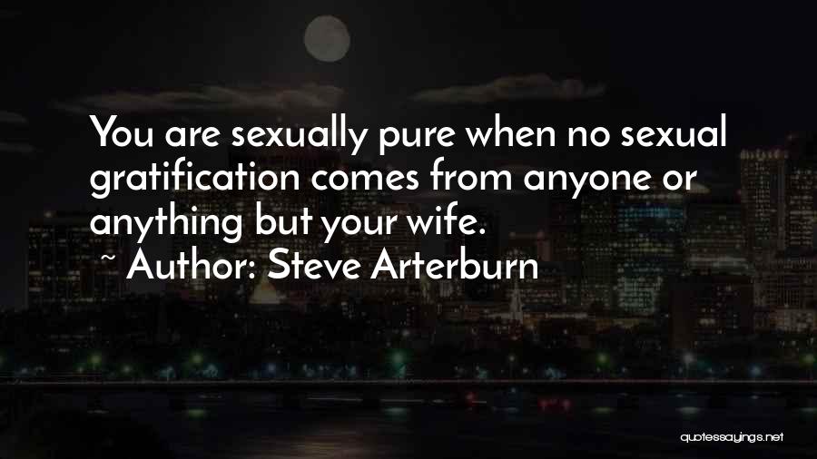 Steve Arterburn Quotes: You Are Sexually Pure When No Sexual Gratification Comes From Anyone Or Anything But Your Wife.