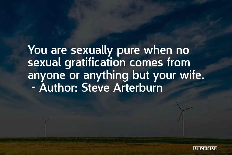 Steve Arterburn Quotes: You Are Sexually Pure When No Sexual Gratification Comes From Anyone Or Anything But Your Wife.