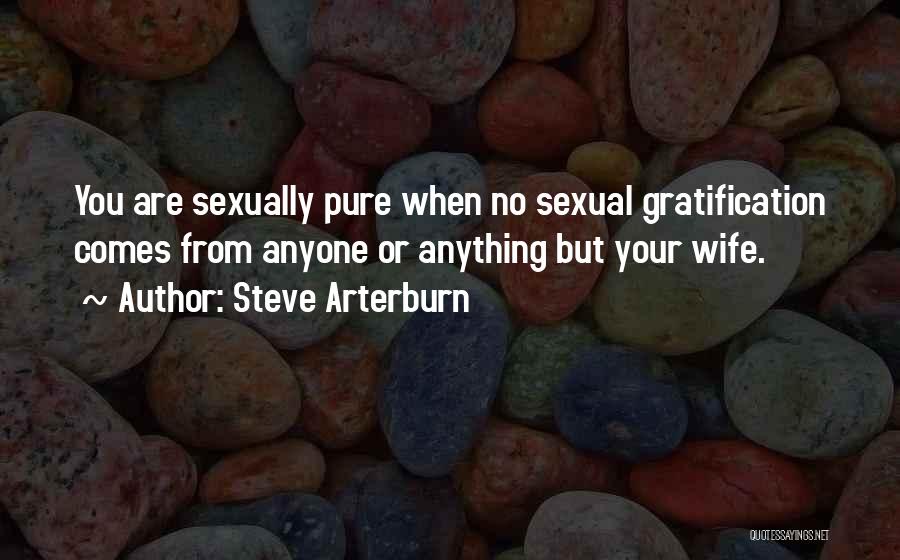 Steve Arterburn Quotes: You Are Sexually Pure When No Sexual Gratification Comes From Anyone Or Anything But Your Wife.