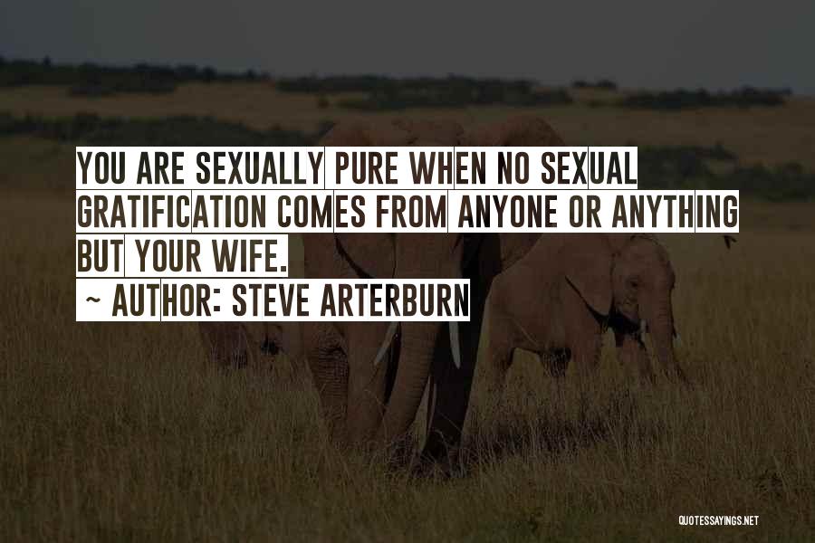 Steve Arterburn Quotes: You Are Sexually Pure When No Sexual Gratification Comes From Anyone Or Anything But Your Wife.