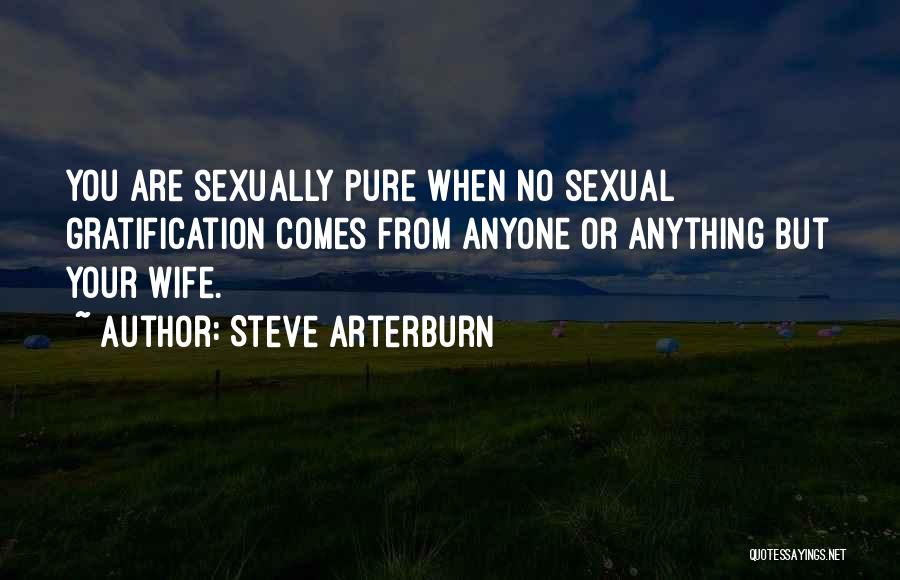 Steve Arterburn Quotes: You Are Sexually Pure When No Sexual Gratification Comes From Anyone Or Anything But Your Wife.