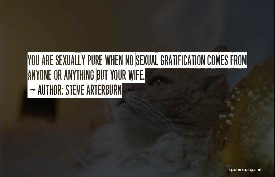 Steve Arterburn Quotes: You Are Sexually Pure When No Sexual Gratification Comes From Anyone Or Anything But Your Wife.