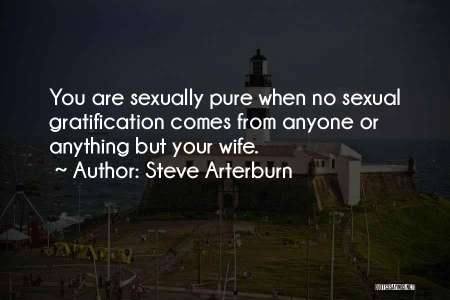 Steve Arterburn Quotes: You Are Sexually Pure When No Sexual Gratification Comes From Anyone Or Anything But Your Wife.