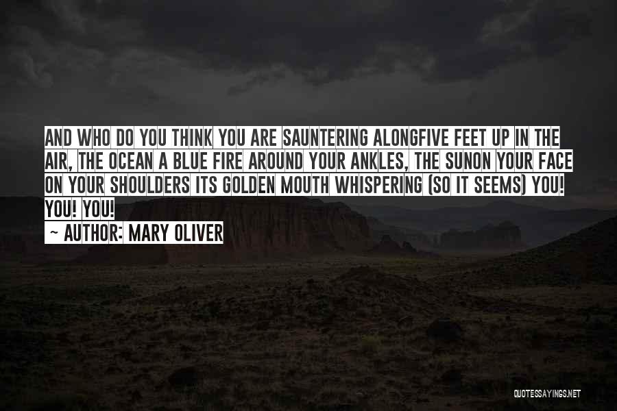 Mary Oliver Quotes: And Who Do You Think You Are Sauntering Alongfive Feet Up In The Air, The Ocean A Blue Fire Around