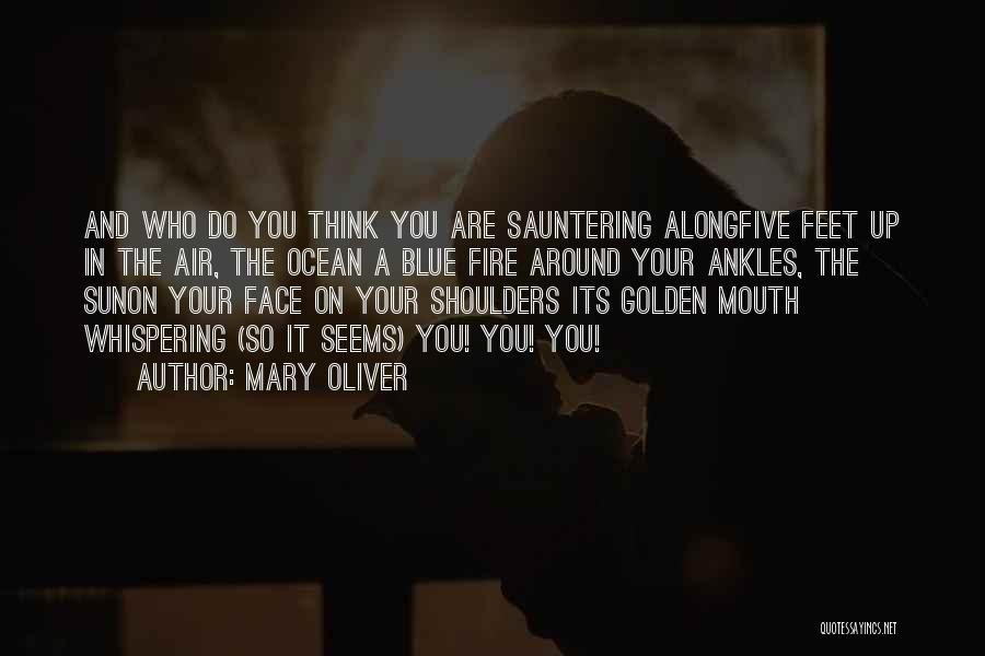 Mary Oliver Quotes: And Who Do You Think You Are Sauntering Alongfive Feet Up In The Air, The Ocean A Blue Fire Around