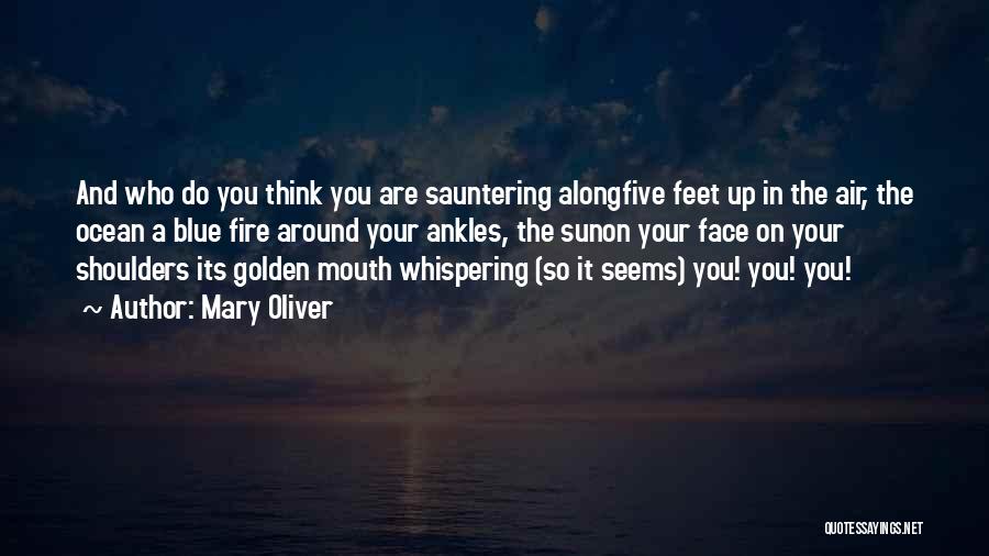 Mary Oliver Quotes: And Who Do You Think You Are Sauntering Alongfive Feet Up In The Air, The Ocean A Blue Fire Around