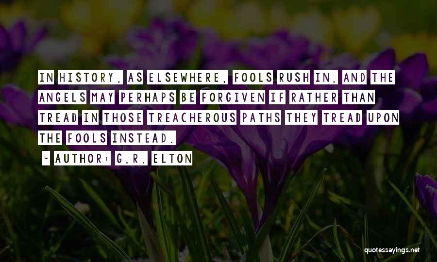 G.R. Elton Quotes: In History, As Elsewhere, Fools Rush In, And The Angels May Perhaps Be Forgiven If Rather Than Tread In Those