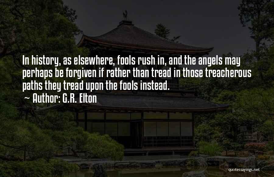 G.R. Elton Quotes: In History, As Elsewhere, Fools Rush In, And The Angels May Perhaps Be Forgiven If Rather Than Tread In Those