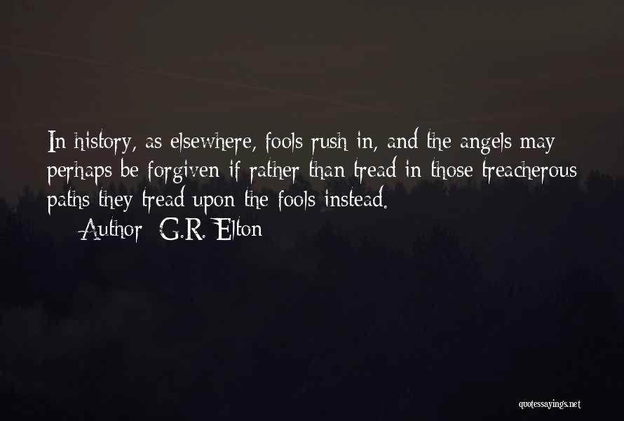 G.R. Elton Quotes: In History, As Elsewhere, Fools Rush In, And The Angels May Perhaps Be Forgiven If Rather Than Tread In Those