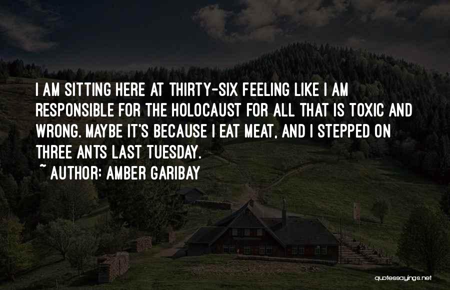Amber Garibay Quotes: I Am Sitting Here At Thirty-six Feeling Like I Am Responsible For The Holocaust For All That Is Toxic And