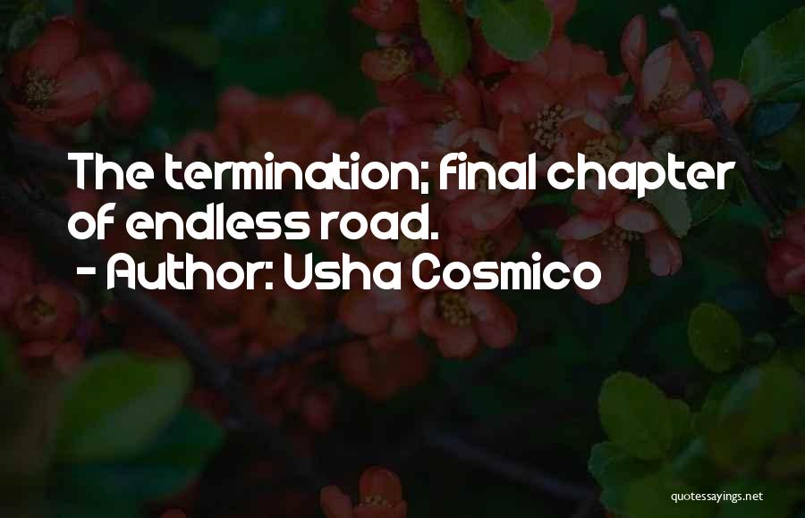 Usha Cosmico Quotes: The Termination; Final Chapter Of Endless Road.