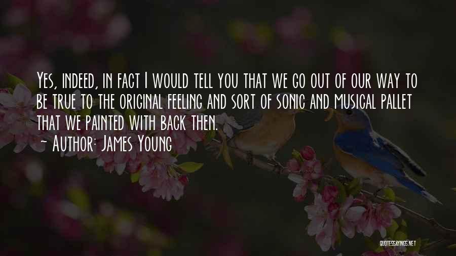 James Young Quotes: Yes, Indeed, In Fact I Would Tell You That We Go Out Of Our Way To Be True To The