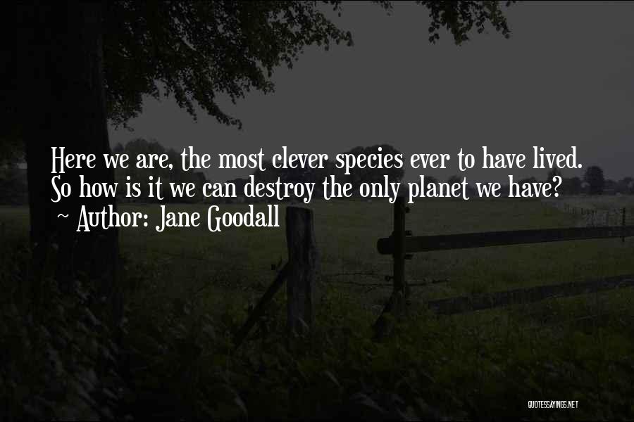 Jane Goodall Quotes: Here We Are, The Most Clever Species Ever To Have Lived. So How Is It We Can Destroy The Only