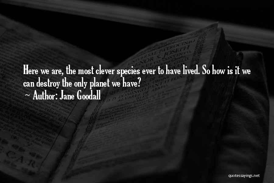 Jane Goodall Quotes: Here We Are, The Most Clever Species Ever To Have Lived. So How Is It We Can Destroy The Only