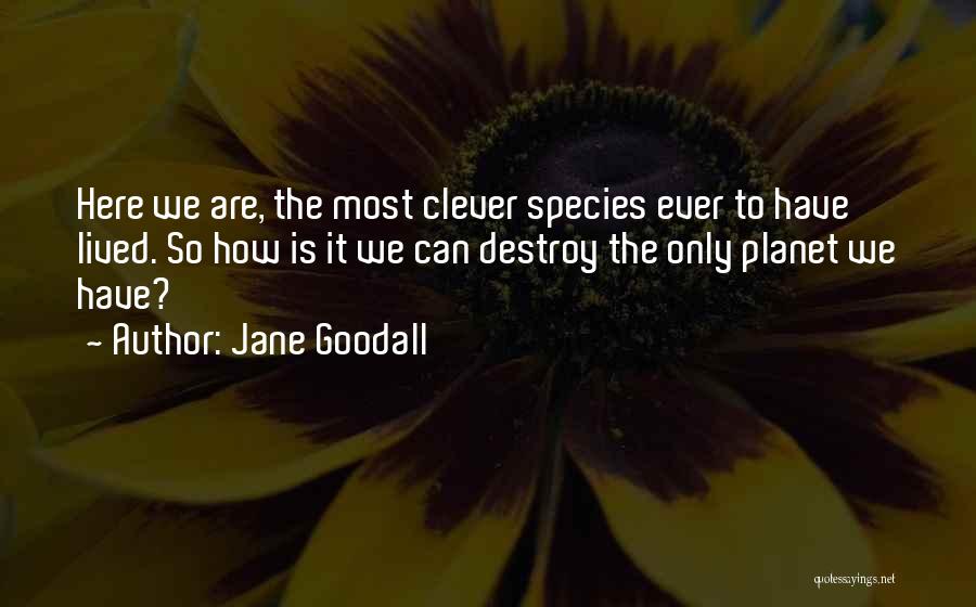 Jane Goodall Quotes: Here We Are, The Most Clever Species Ever To Have Lived. So How Is It We Can Destroy The Only