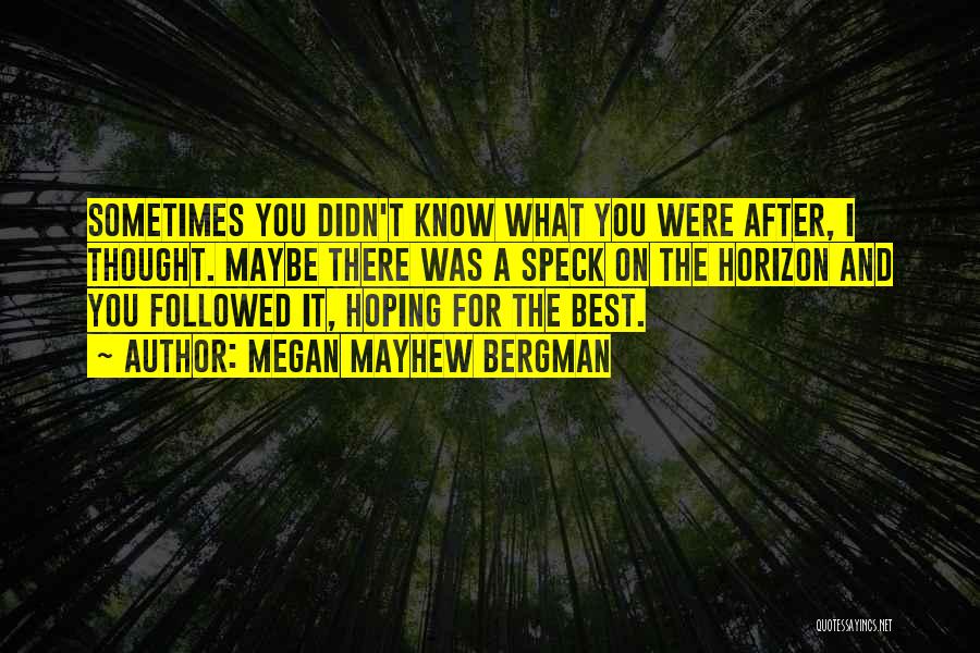 Megan Mayhew Bergman Quotes: Sometimes You Didn't Know What You Were After, I Thought. Maybe There Was A Speck On The Horizon And You