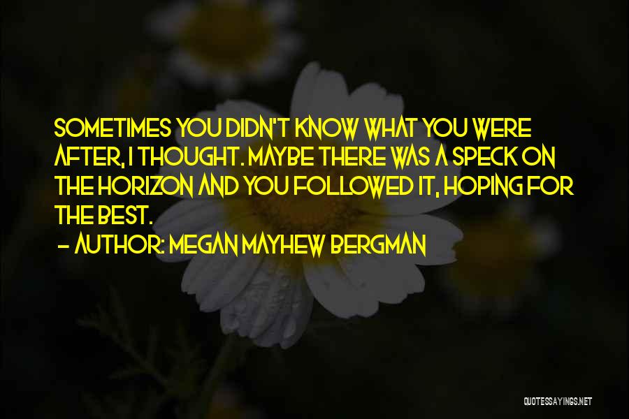 Megan Mayhew Bergman Quotes: Sometimes You Didn't Know What You Were After, I Thought. Maybe There Was A Speck On The Horizon And You
