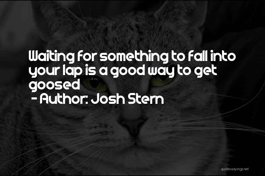 Josh Stern Quotes: Waiting For Something To Fall Into Your Lap Is A Good Way To Get Goosed