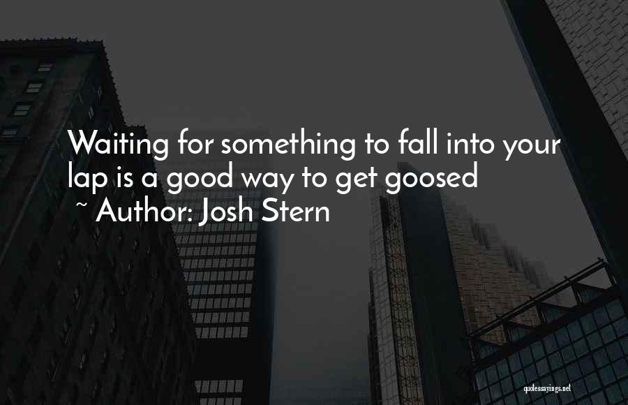 Josh Stern Quotes: Waiting For Something To Fall Into Your Lap Is A Good Way To Get Goosed