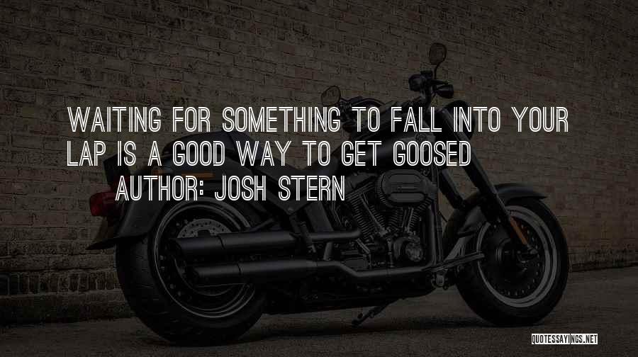 Josh Stern Quotes: Waiting For Something To Fall Into Your Lap Is A Good Way To Get Goosed