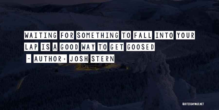 Josh Stern Quotes: Waiting For Something To Fall Into Your Lap Is A Good Way To Get Goosed