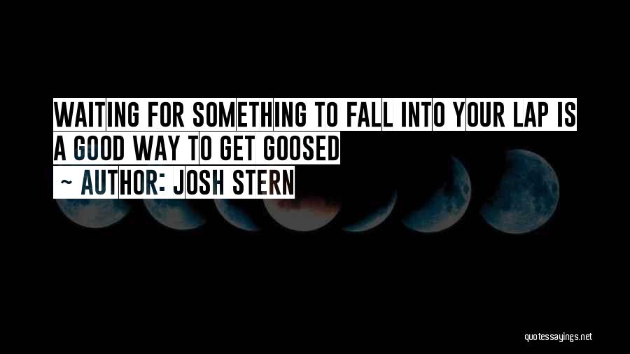 Josh Stern Quotes: Waiting For Something To Fall Into Your Lap Is A Good Way To Get Goosed