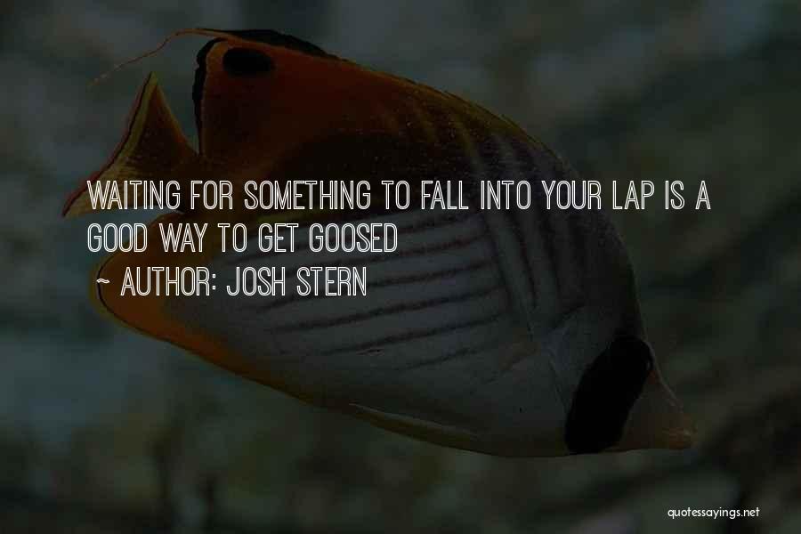 Josh Stern Quotes: Waiting For Something To Fall Into Your Lap Is A Good Way To Get Goosed