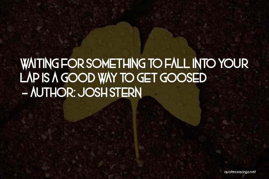 Josh Stern Quotes: Waiting For Something To Fall Into Your Lap Is A Good Way To Get Goosed