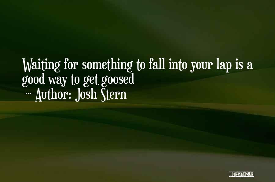 Josh Stern Quotes: Waiting For Something To Fall Into Your Lap Is A Good Way To Get Goosed