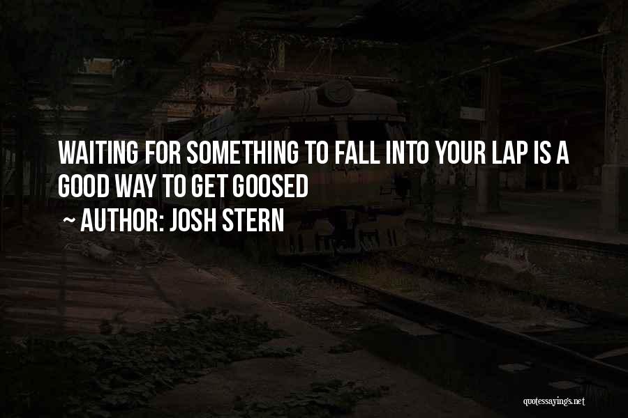 Josh Stern Quotes: Waiting For Something To Fall Into Your Lap Is A Good Way To Get Goosed