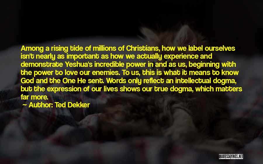 Ted Dekker Quotes: Among A Rising Tide Of Millions Of Christians, How We Label Ourselves Isn't Nearly As Important As How We Actually
