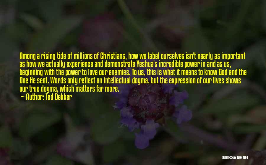 Ted Dekker Quotes: Among A Rising Tide Of Millions Of Christians, How We Label Ourselves Isn't Nearly As Important As How We Actually